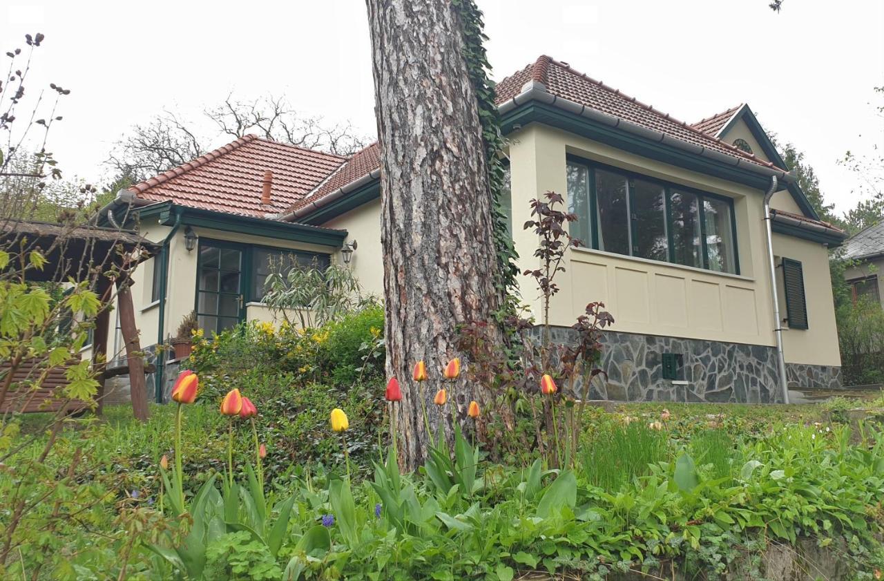 Edit Villa Mátrafüred Exterior foto
